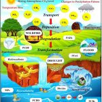 Financial Preparedness for Climate Change and Extreme Weather: Your Money’s Safety Net